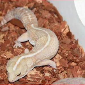 Screenshot_2016-05-30-23-39-18-1