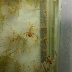 1471967789433-1874910915