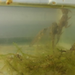 1471967844653-541187075