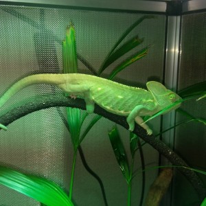 1481301229183-1880922358