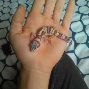 1481372127765-389918880