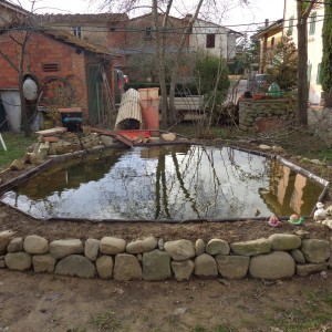 Estanque funcionando