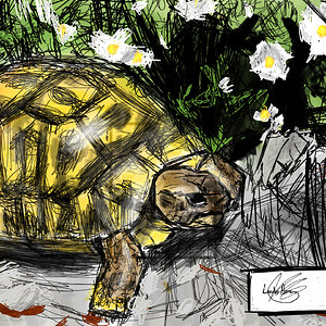 Testudo hermanni hermanni. Apple Pencil