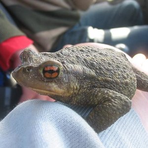 Road Trip Portugal 138.jpg