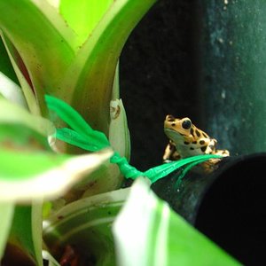 BASTIMENTOS.JPG 2.JPG