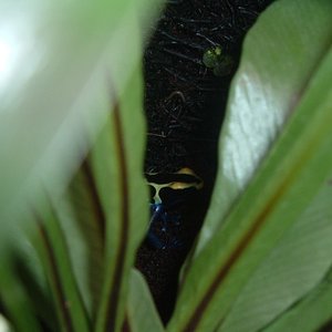 Imagen 093 (600 x 450).jpg