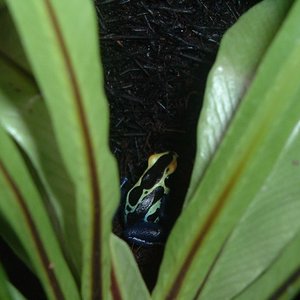 Imagen 094 (600 x 450).jpg