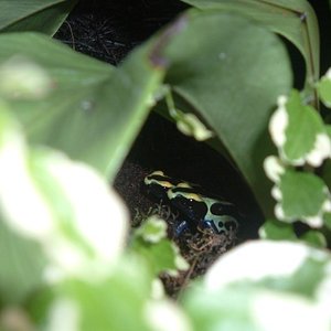 Imagen 095 (600 x 450).jpg