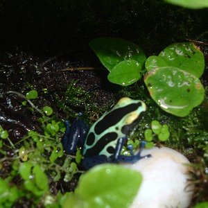 Imagen (600 x 450).jpg