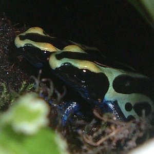 Imagen (600 x 450).jpg