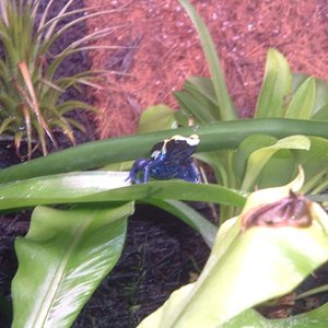 Imagen 097 (600 x 450).jpg