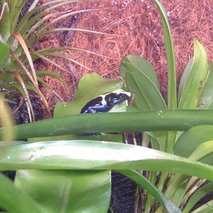 Imagen 098 (600 x 450).jpg