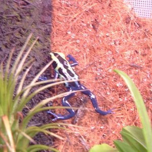 Imagen 099 (600 x 450).jpg