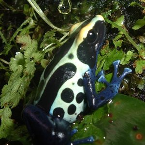 Imagen 115 (600 x 450).jpg