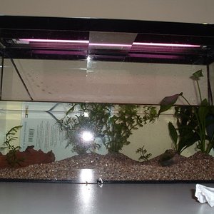 Imagen 120 (600 x 450).jpg