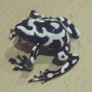 ranas 044.jpg