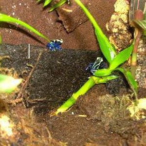 teorica en la academia 017.jpg