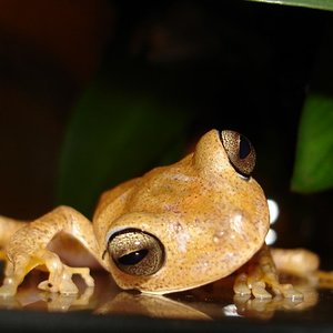 Imagem 195 (600 x 450).jpg