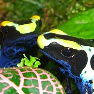 Imagen 012 (600 x 450).jpg