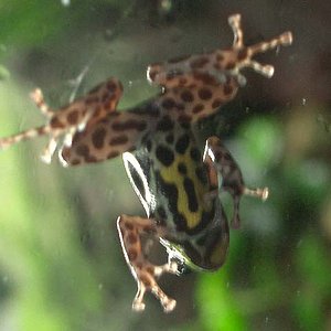 fotos noviembre-diciembre 2005 026.jpg