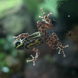 fotos noviembre-diciembre 2005 029.jpg