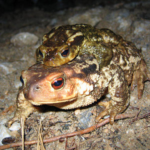 IMG_2672 700x525.jpg