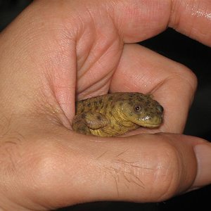 IMG_0237 (Medium).JPG