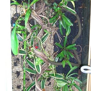 Izquierda sin puertas.JPG