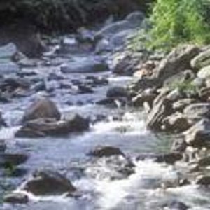 Habitat de las Andrias1.JPG