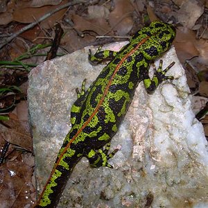 DSCN2147 (Small).JPG