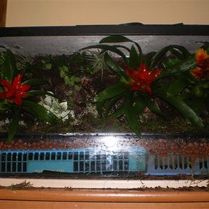 vivari acabat 95% 006 (Small).jpg