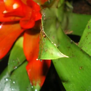 vivari acabat 95% 010 (Small).jpg