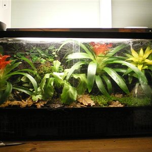 Terrari finish mes 001 (Small).jpg