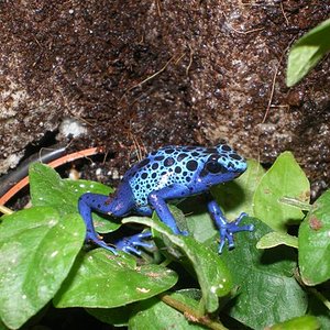 reis 07 011 (Small).jpg