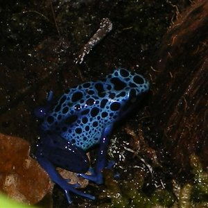 reis 07 014 (Small).jpg