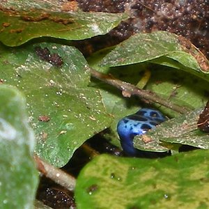 reis 07 012 (Small).jpg