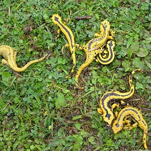 fotos paraiso 516 (Small).jpg