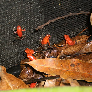 Panama Colmbia 091.JPG