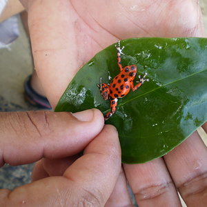 Panama Colmbia 078.JPG