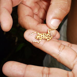 Panama Colmbia 072.JPG