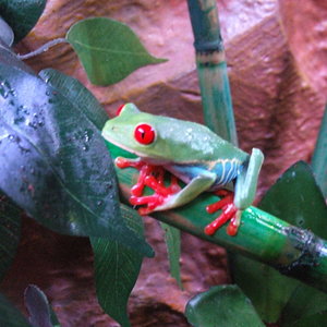 DSCF2416 (FILEminimizer).JPG