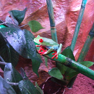 DSCF2417 (FILEminimizer).JPG