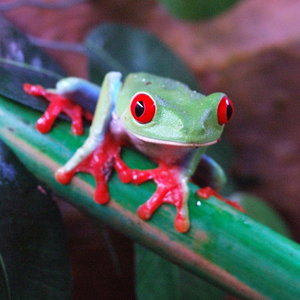 DSCF2429 (FILEminimizer).JPG