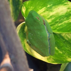 DSCF2536 (FILEminimizer).JPG