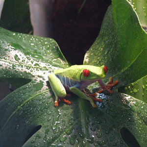 DSCF2537 (FILEminimizer).JPG