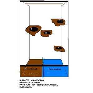 TERRARIO ORGANIZACIONÇ.JPG