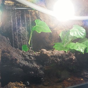 2012-12-29 10.49.07.jpg