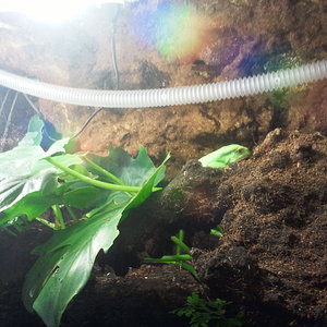 2012-12-29 10.49.41.jpg