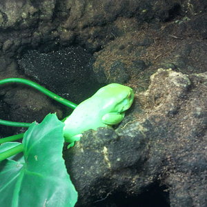 2012-12-29 10.49.55.jpg