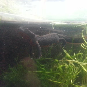 2014-12-11 18.22.44.jpg